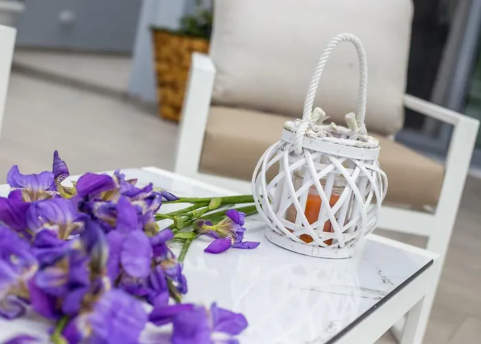 فيلة The Sisters *